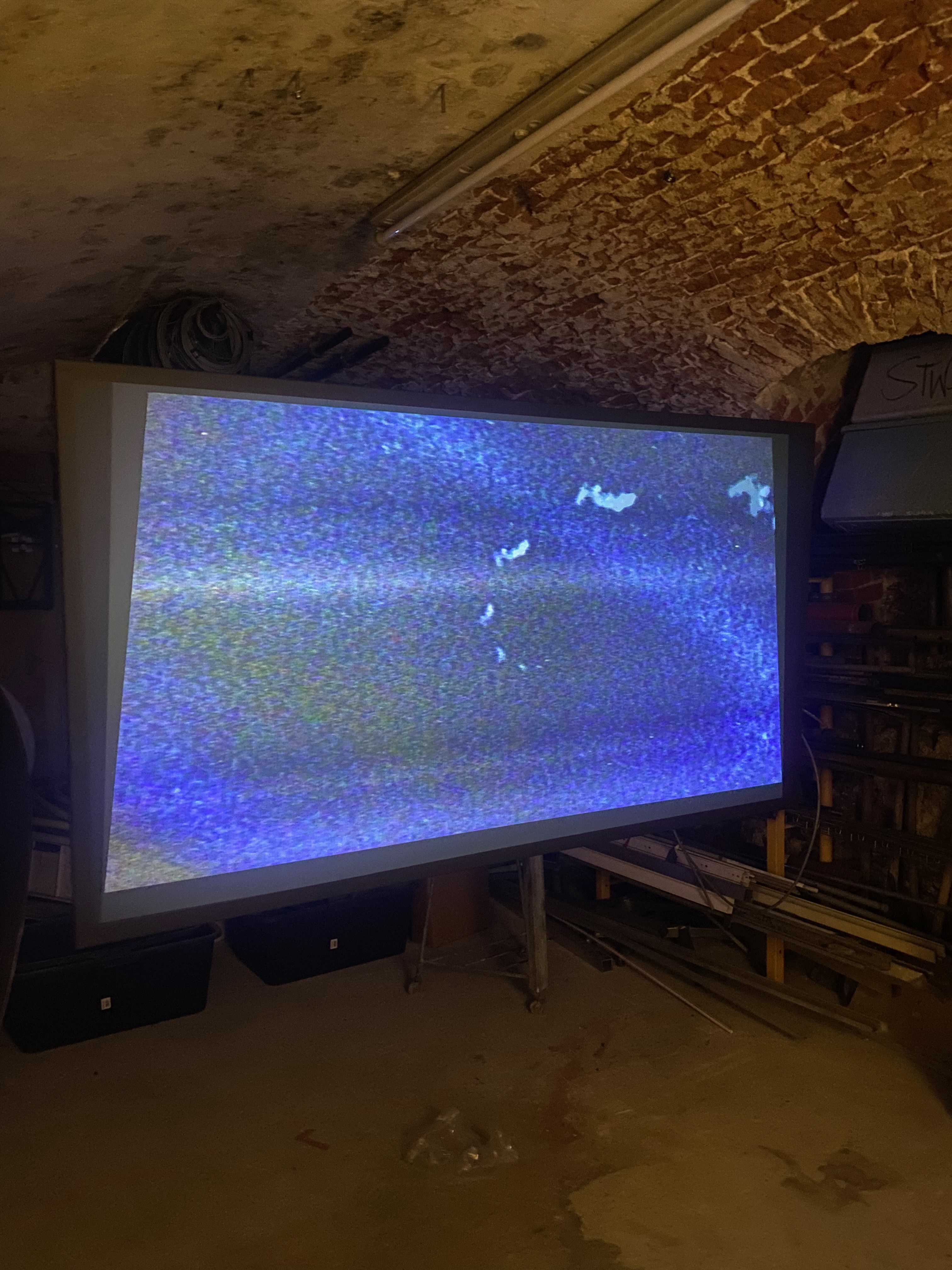 stwst48x9_c_jan_jenny_62.jpeg