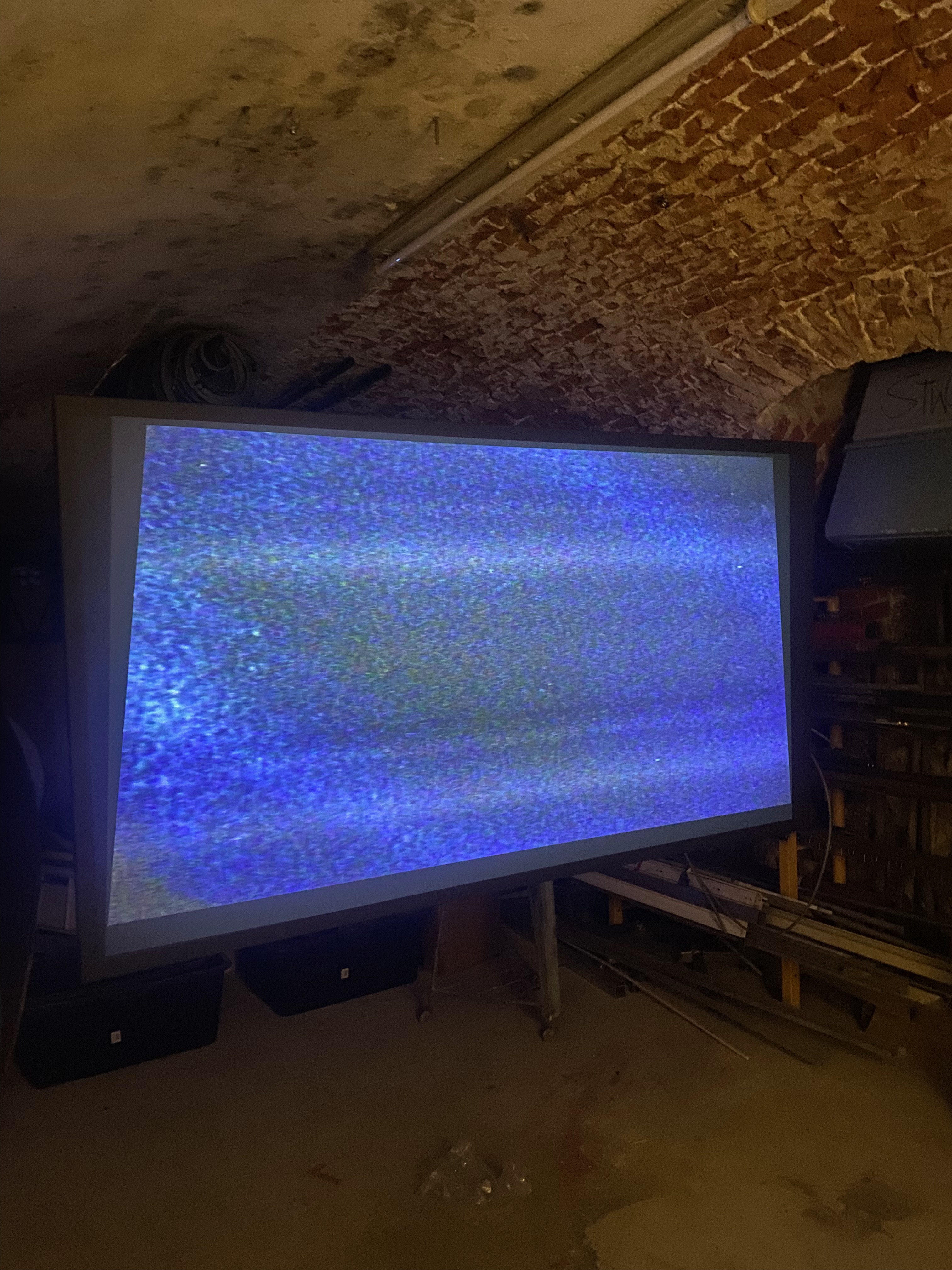 stwst48x9_c_jan_jenny_63.jpeg