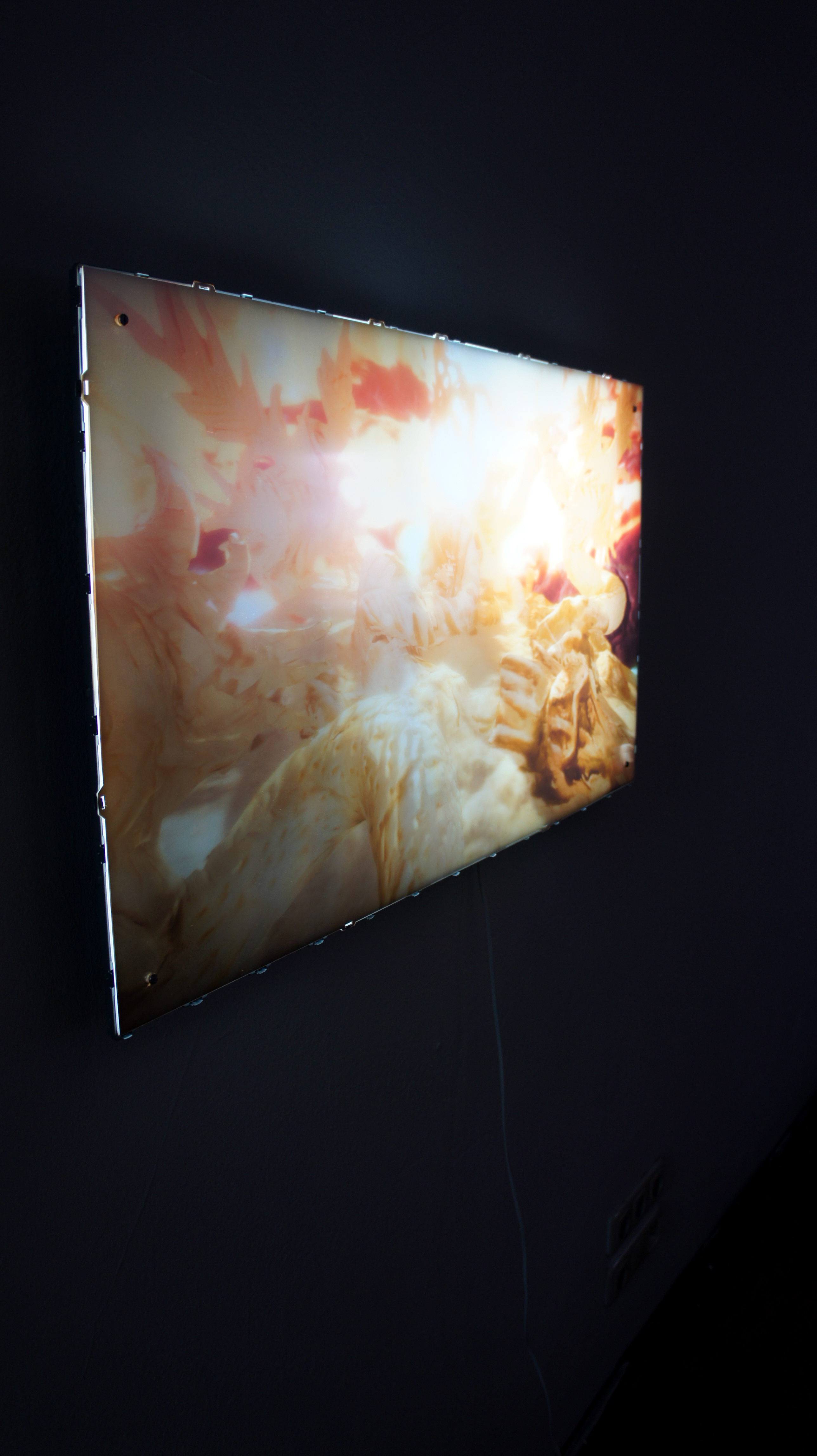 stwst48x9_c_astrid_benzer_91.jpg