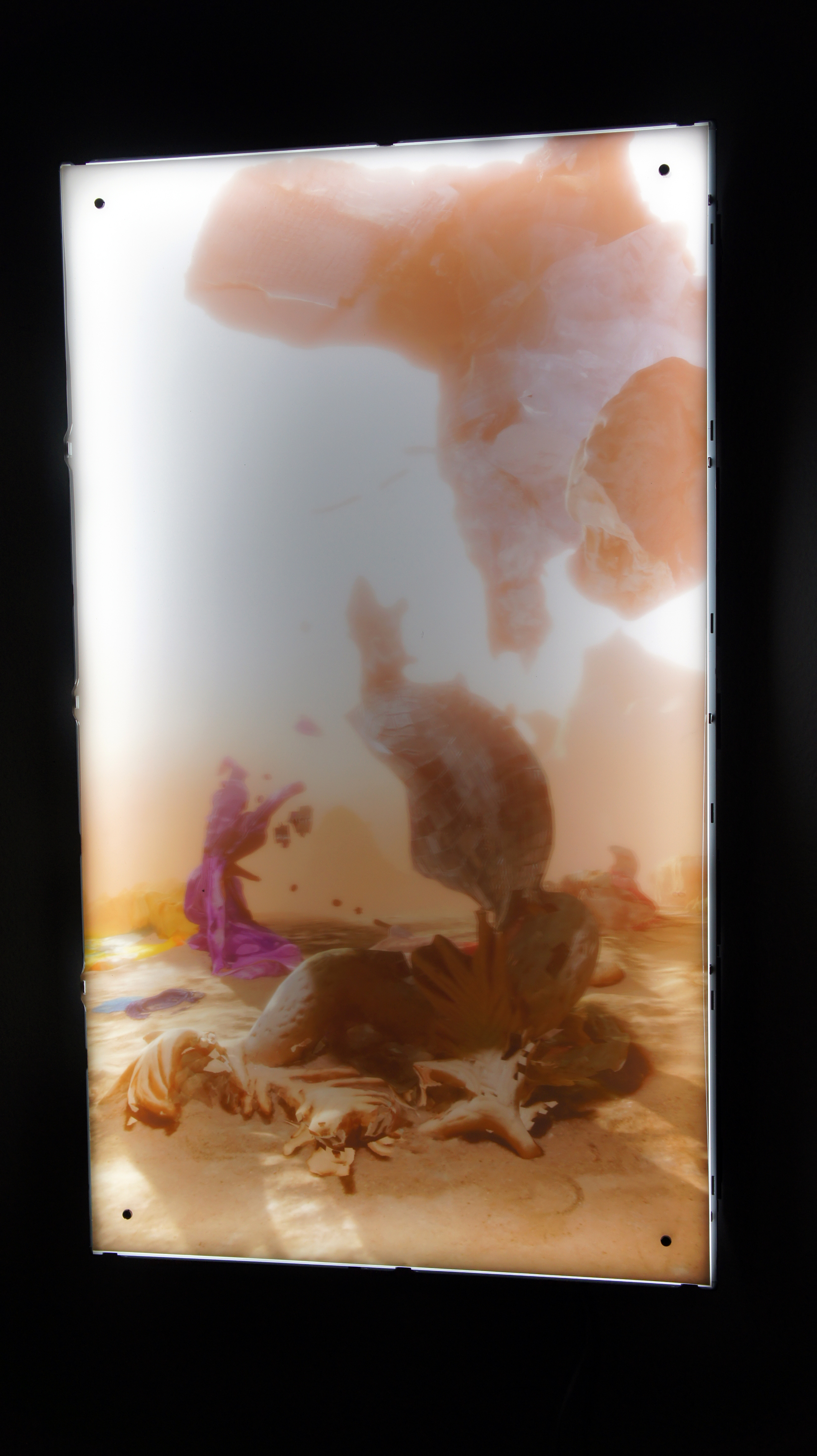 stwst48x9_c_astrid_benzer_99.jpg
