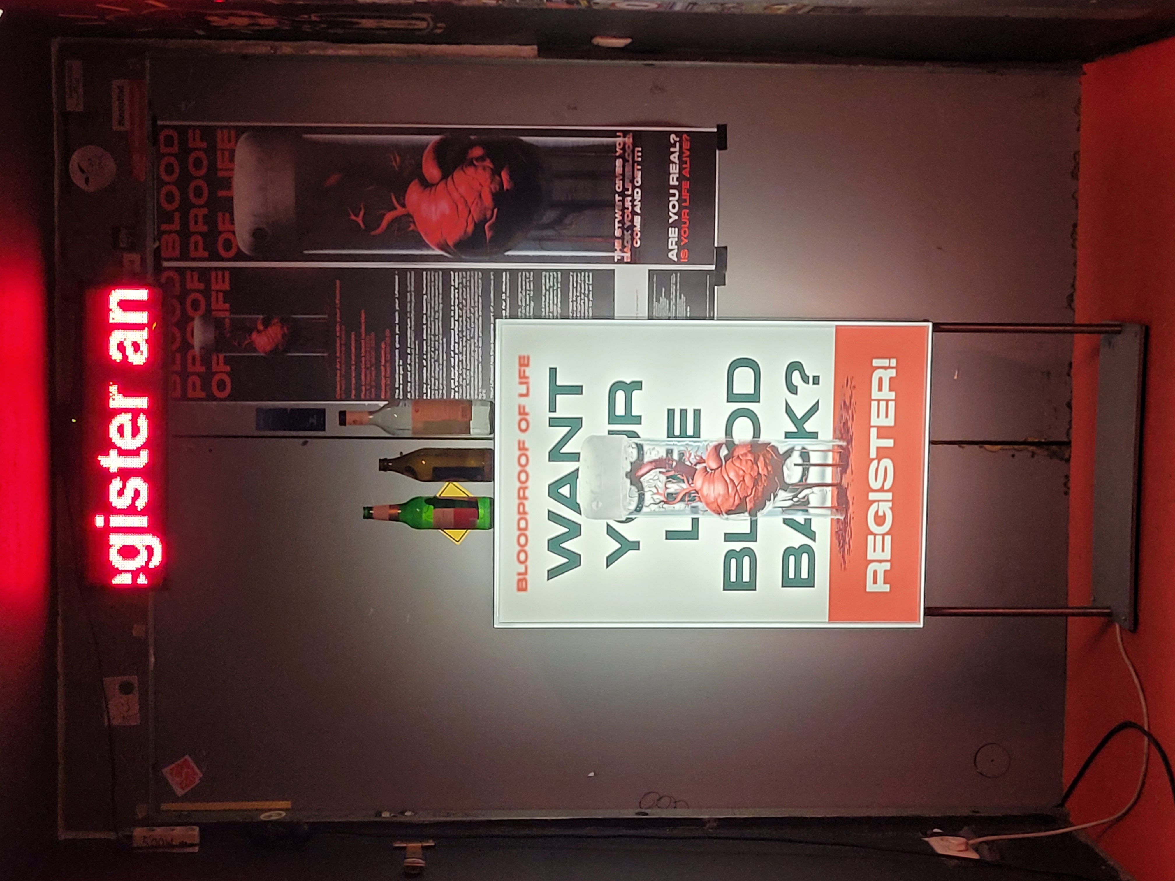 stwst48x9_c_tanja_brand_158.jpg